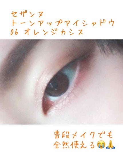 トーンアップアイシャドウ/CEZANNE/アイシャドウパレットを使ったクチコミ(1枚目)