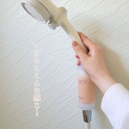 シャワーフィルター ダマスクローズ/H201/シャワーヘッドの画像