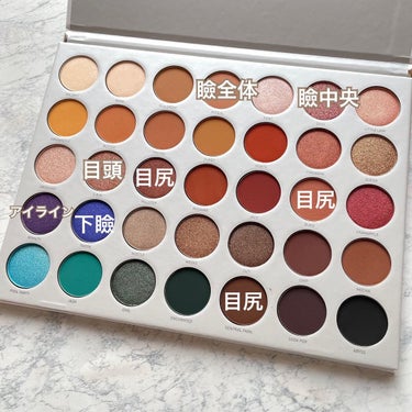 JACLYN HILL Eyeshadow Palette/Morphe/パウダーアイシャドウを使ったクチコミ（3枚目）