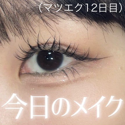 シャドウパレット/dasique/アイシャドウパレットを使ったクチコミ(1枚目)