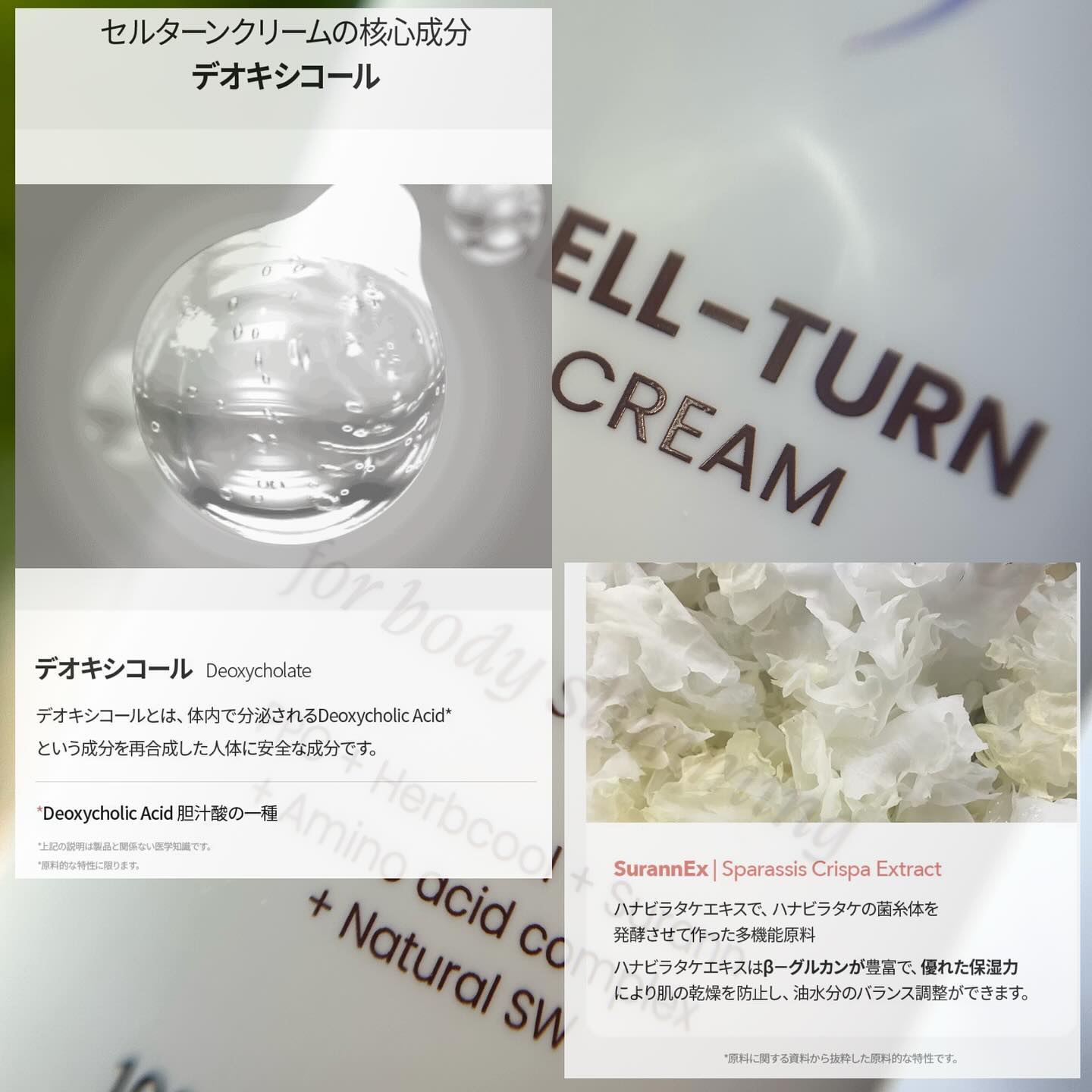 セルターンクリーム 100ml/リリーイブ/フェイスクリームを使ったクチコミ（2枚目）
