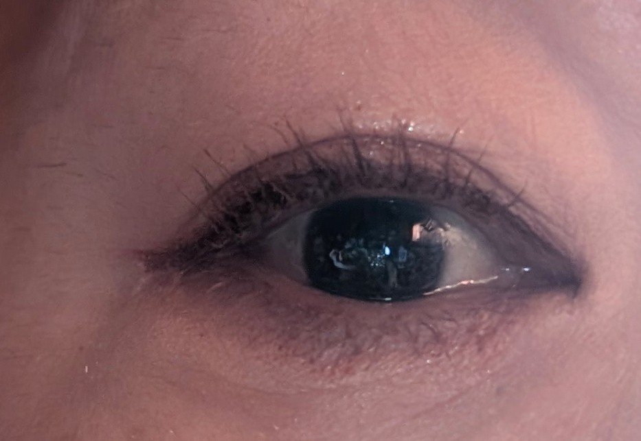 クイックラッシュカーラー/キャンメイク/マスカラ下地を使ったクチコミ（1枚目）