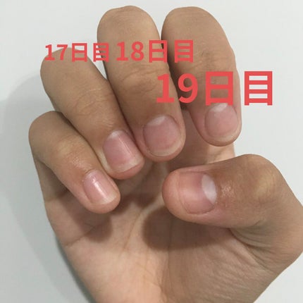 ã䜿ã£ãã¯ãã³ãïŒ2æç®ïŒ