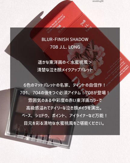 ブラーフィニシュシャドウパレット/Dinto/アイシャドウパレットを使ったクチコミ(4枚目)