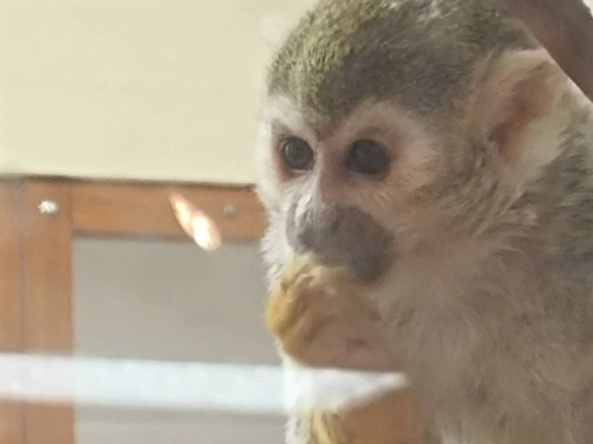 リップスティック Y/ちふれ/口紅を使ったクチコミ(4枚目)