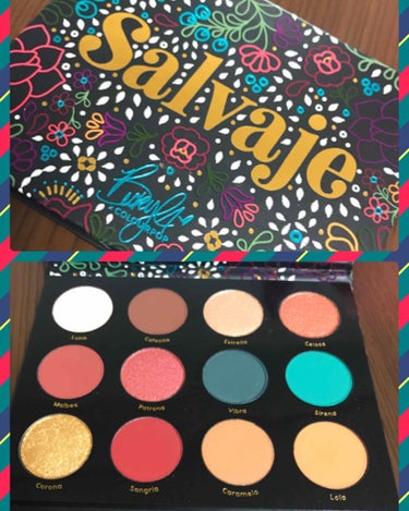 ColourPop サルバジェ カラフル アイシャドウ パレット