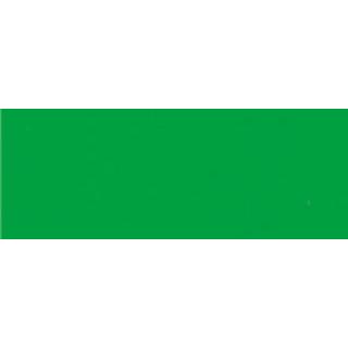 027 パーマネント グリーン ライト