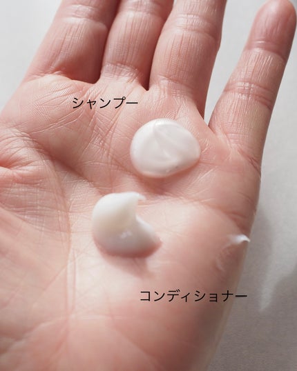 ヘルシースカルプ シャンプー/コンディショナー 〈シルキーシャイン〉/イヴ・ロシェ/市販シャンプーを使ったクチコミ(2枚目)