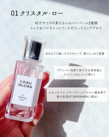 ローグロス/BBIA/リップグロスを使ったクチコミ(2枚目)