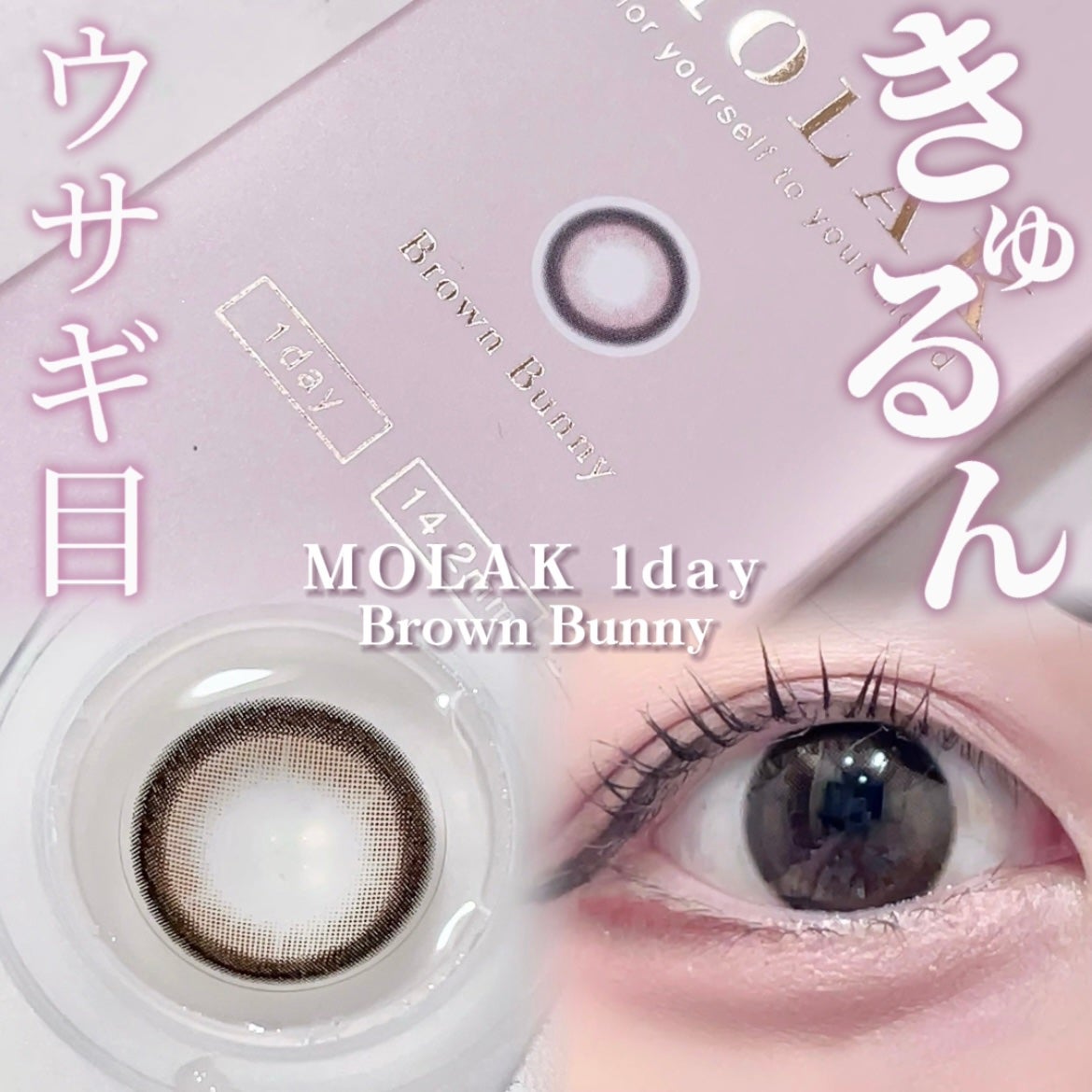 MOLAK 1day/MOLAK/ワンデー(1DAY)カラコンを使ったクチコミ(1枚目)