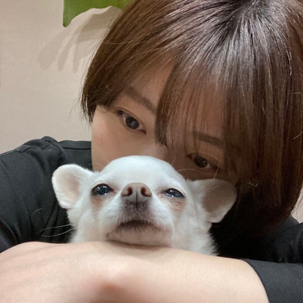 しに子ちゃん on LIPS 「漢検と英検の二級を受けるか準一級受けるかで迷ってる。漢検のホー..」(2枚目)