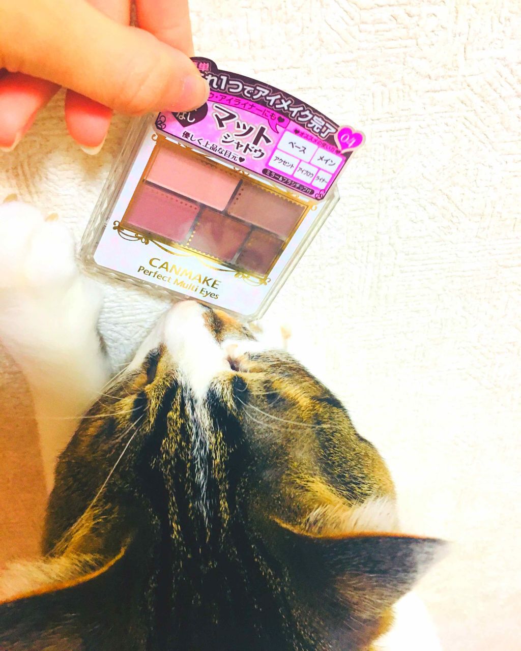 パーフェクトマルチアイズ/キャンメイク/アイシャドウパレットを使ったクチコミ(1枚目)