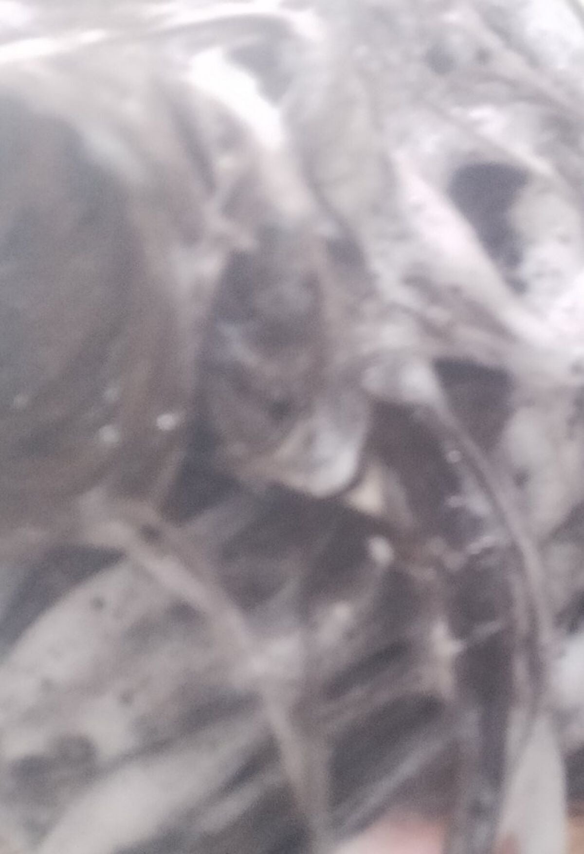 ドリーミー モイスト シャンプー/ヘアトリートメント/THERATIS/市販シャンプーを使ったクチコミ(7枚目)