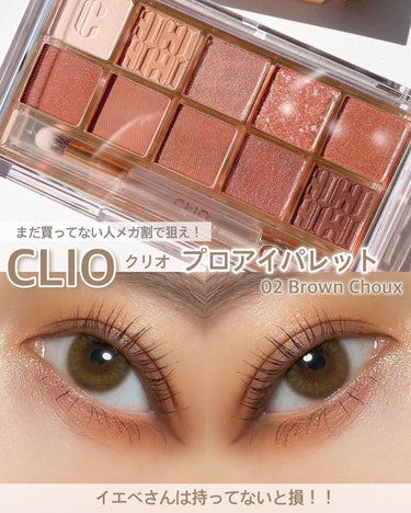 プロ アイ パレット 02 BROWN CHOUX(AD)(日本限定デザイン) / CLIO