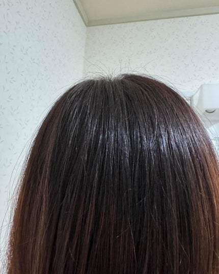 炭酸シャンプー/Hadient/市販シャンプーを使ったクチコミ(8枚目)