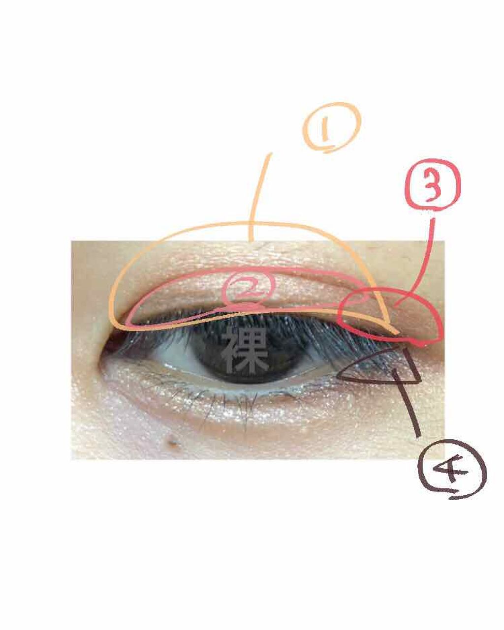 【旧品】パーフェクトスタイリストアイズ/キャンメイク/アイシャドウパレットを使ったクチコミ(2枚目)