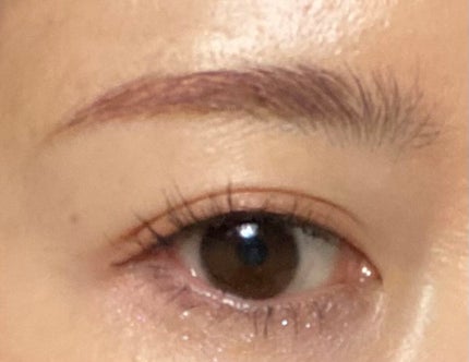 ミックスアイブロウカラー/キャンメイク/パウダーアイブロウを使ったクチコミ(6枚目)