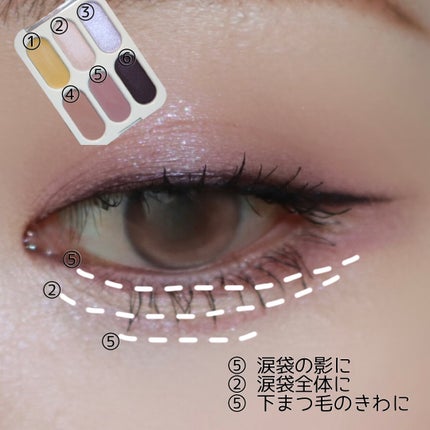フォーエバー6アイパレット/Laka/アイシャドウパレットを使ったクチコミ(5枚目)