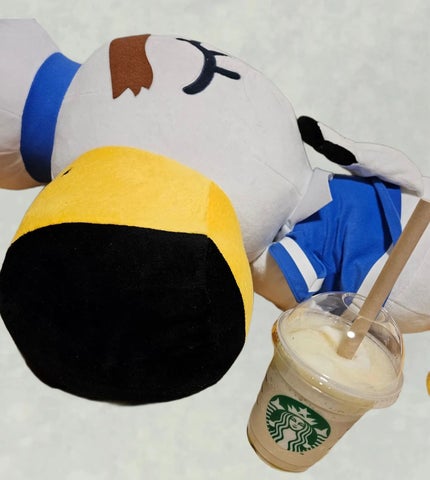 Rika@相互 on LIPS 「スタバのホワイトオペラフラペチーノ®です☕まろやかでホワイトチ..」(1枚目)