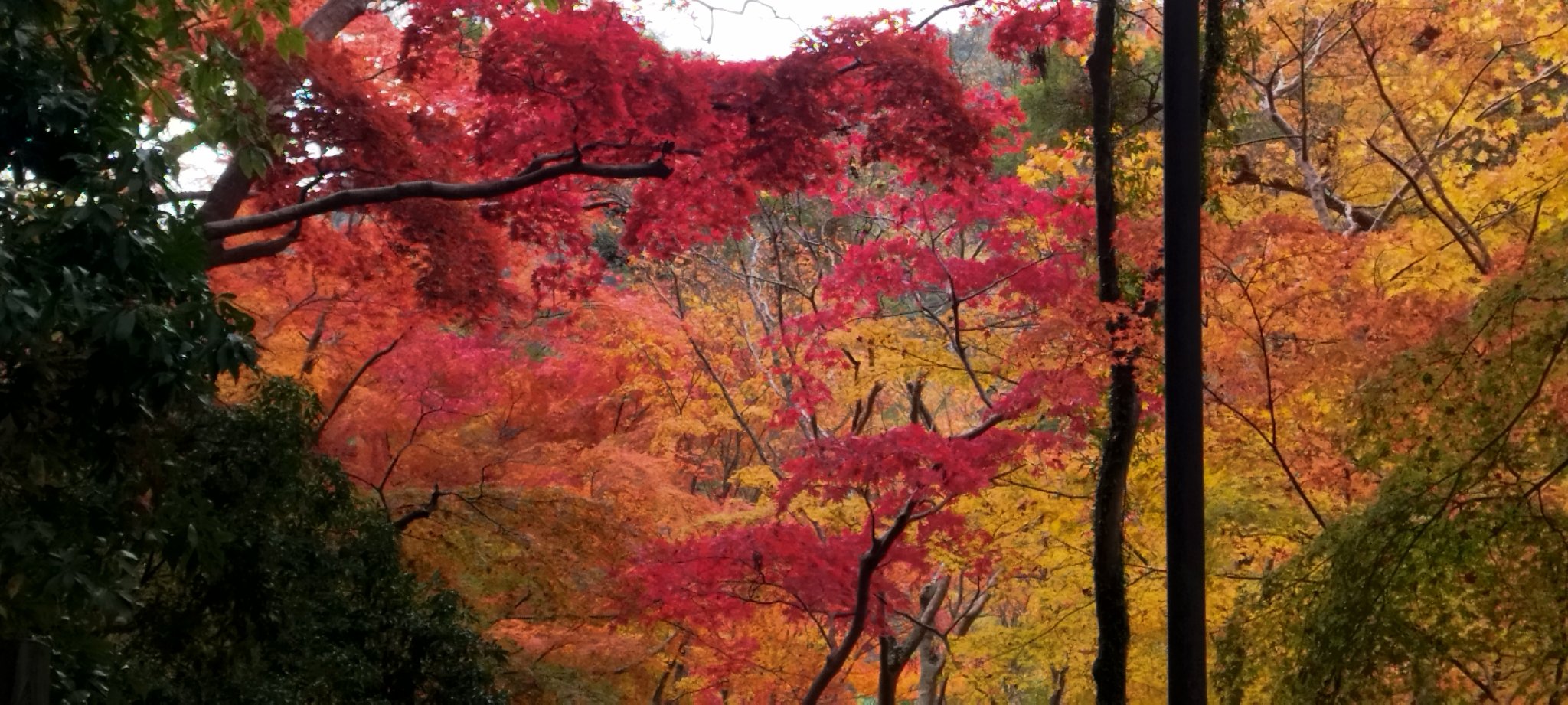 薬用ディープクレンジング/サンタマルシェ/クレンジングジェルを使ったクチコミ（3枚目）