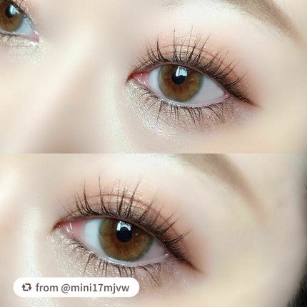 グロッシーリッチ アイズ N/Visée/アイシャドウパレットを使ったクチコミ(4枚目)