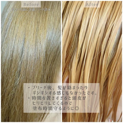 ボンディング・ブリーチ 1箱/got2b/ブリーチ剤を使ったクチコミ(3枚目)