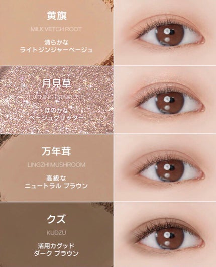 ファイナルシャドウパレット4/BBIA/アイシャドウパレットを使ったクチコミ(9枚目)