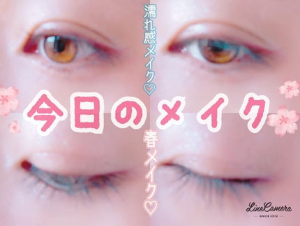 【旧品】パーフェクトスタイリストアイズ/キャンメイク/アイシャドウパレットを使ったクチコミ(1枚目)