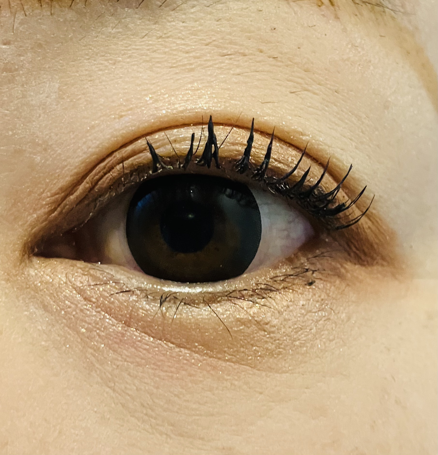 デザイニングブラウンアイズ EX-1 スプリングブラウン(限定)/KATE/アイシャドウパレットを使ったクチコミ（2枚目）