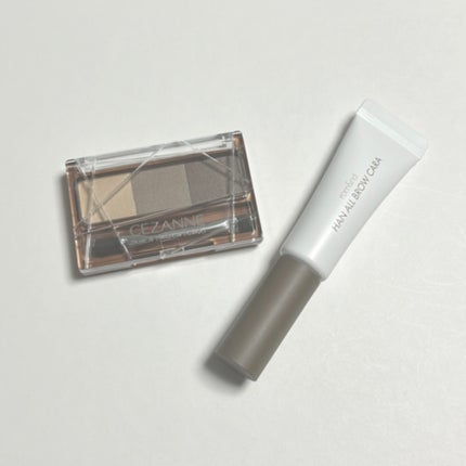 ノーズ&アイブロウパウダー/CEZANNE/パウダーアイブロウを使ったクチコミ(1枚目)