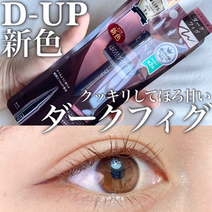 シルキーリキッドアイライナーWP/D-UP/リキッドアイライナーを使ったクチコミ(1枚目)