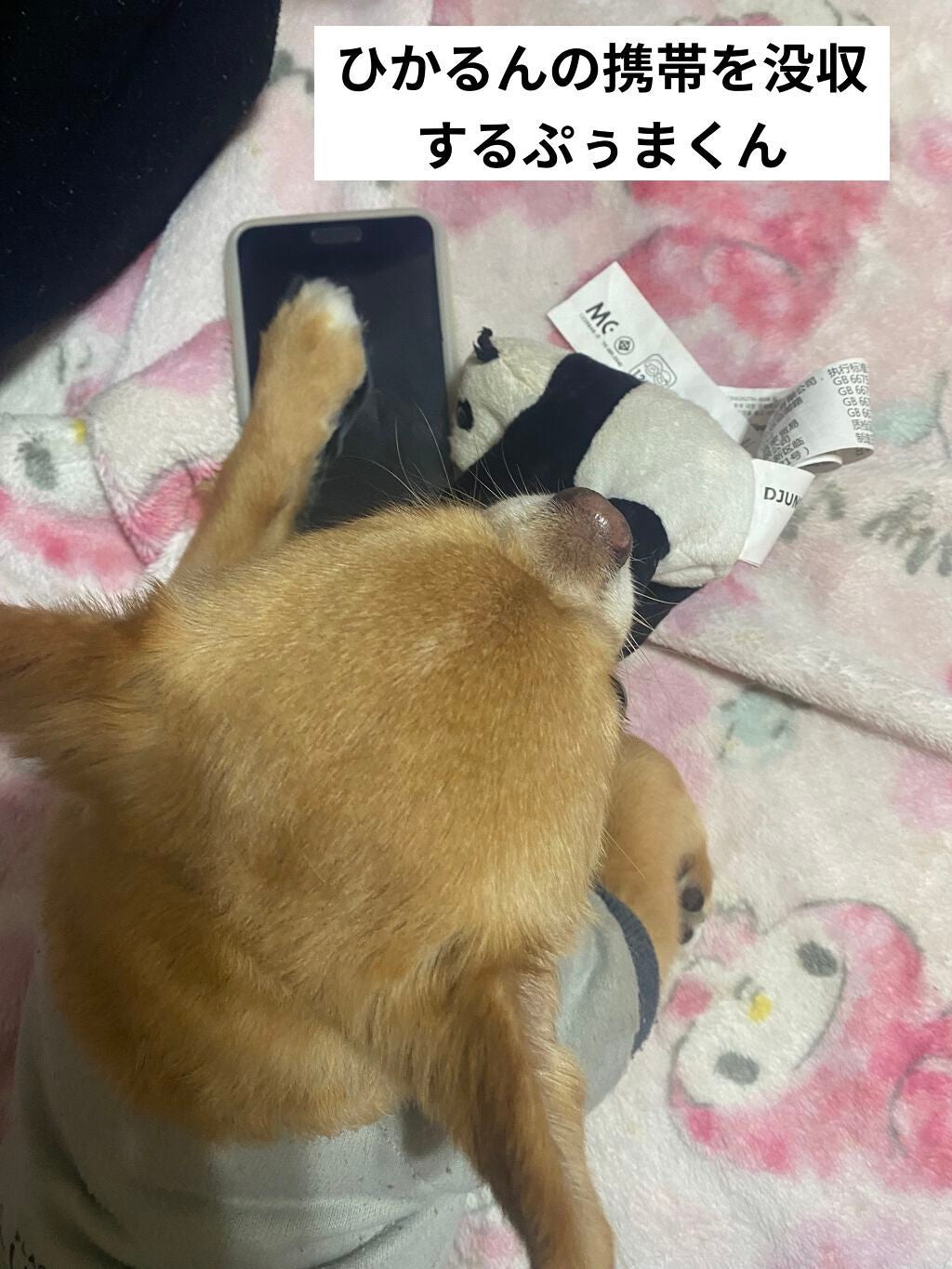 ドクタージャルト シカペア クリーム (第2世代)/Dr.Jart+/フェイスクリームを使ったクチコミ(5枚目)