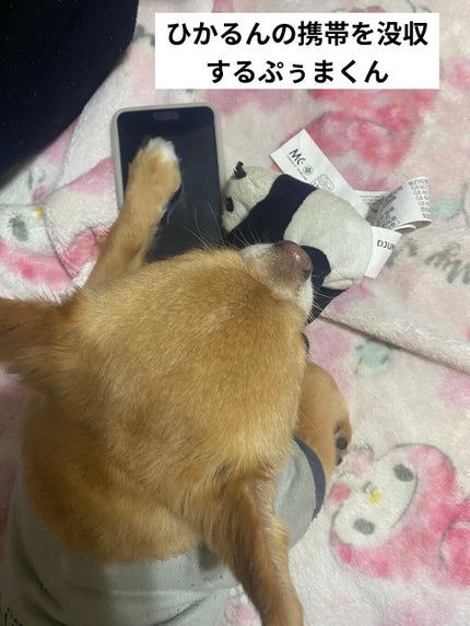 ドクタージャルト シカペア クリーム (第2世代)/Dr.Jart+/フェイスクリームを使ったクチコミ(5枚目)