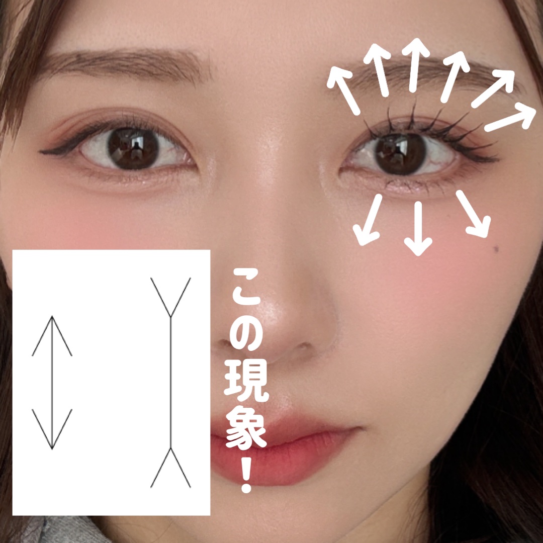 カービングアイラッシュカーラー 通常品/コージー/ビューラーを使ったクチコミ（2枚目）