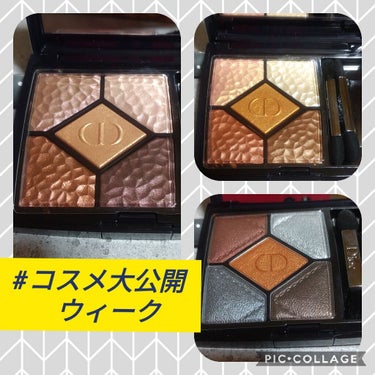 サンク クルール<ワイルド アース＞/Dior/アイシャドウパレットを使ったクチコミ（1枚目）