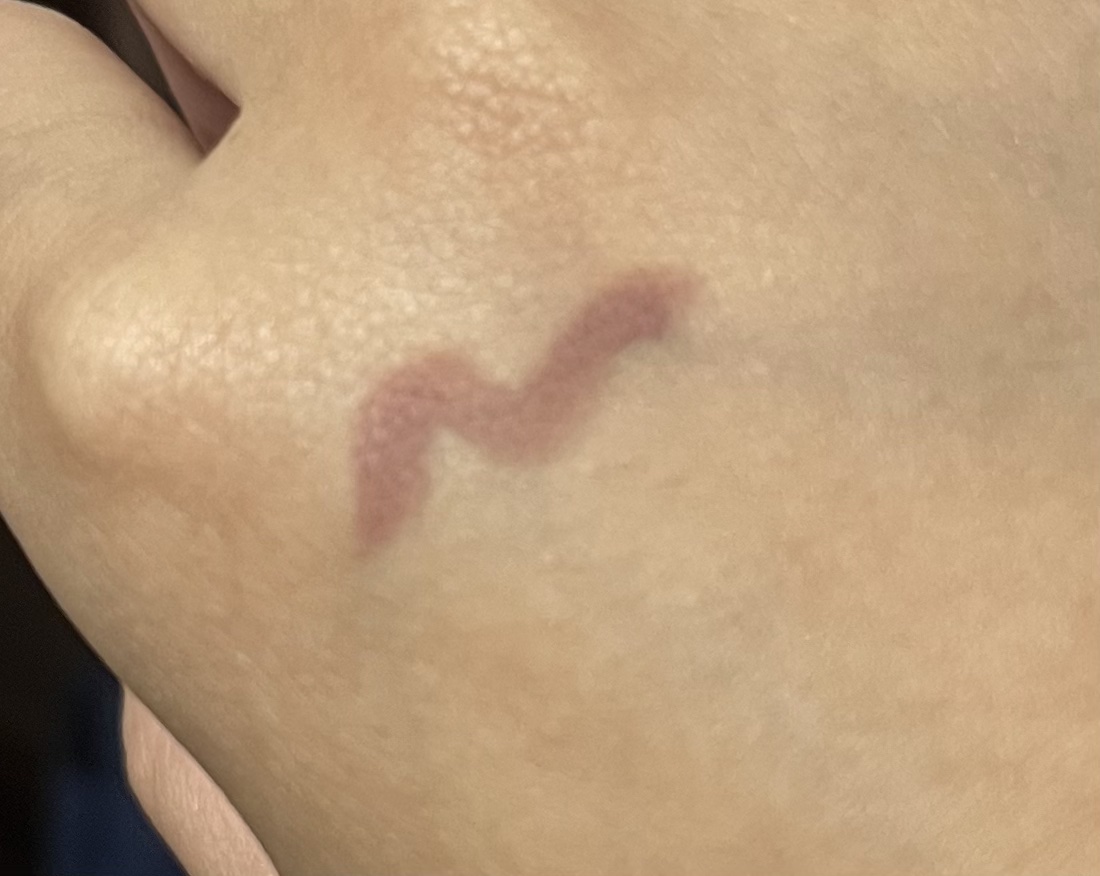 影色リップメイカー/CEZANNE/口紅・グロス・リップライナー・リップケアを使ったクチコミ（2枚目）