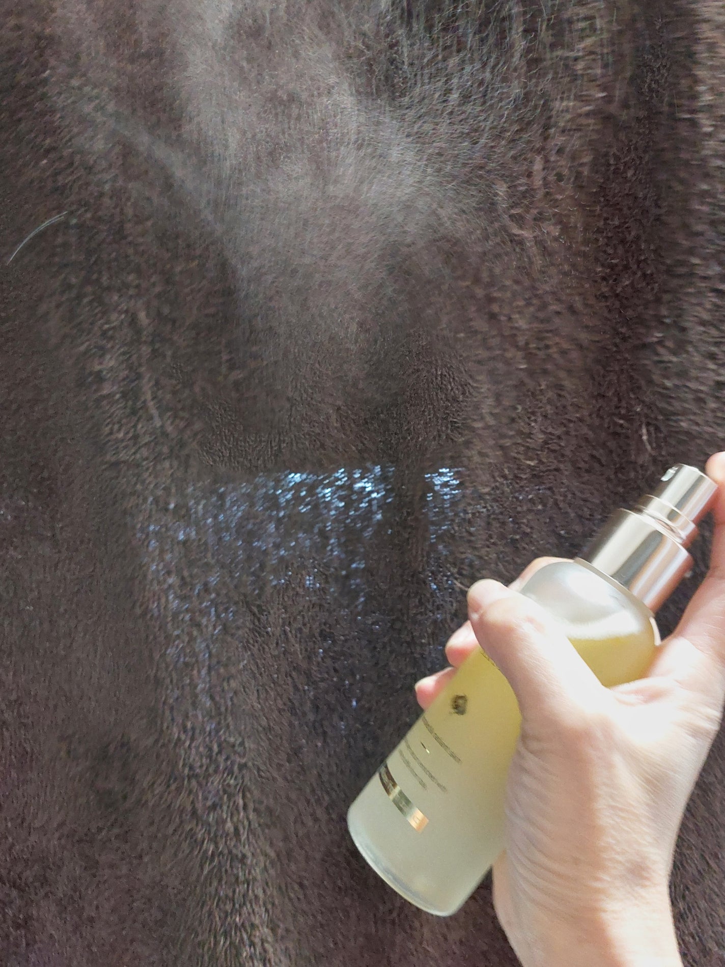 ダルバ ホワイトトリュフファーストスプレーセラム/ダルバ/ミスト状化粧水を使ったクチコミ(3枚目)