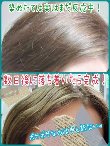 ホイップヘアカラー ピスタチオアッシュ|ビューティラボの口コミ「私
