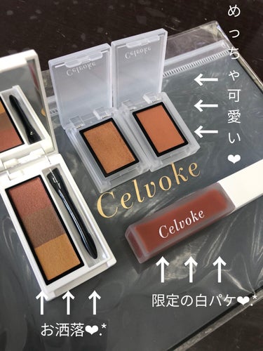 エンスロール マット リップス 03 テラコッタ/Celvoke/口紅の画像