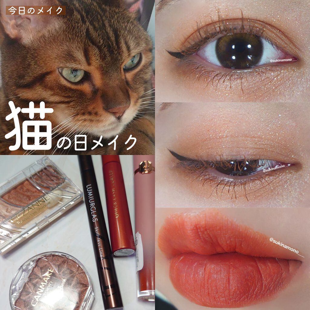 スキルレスライナー/LUMIURGLAS/リキッドアイライナーを使ったクチコミ（1枚目）