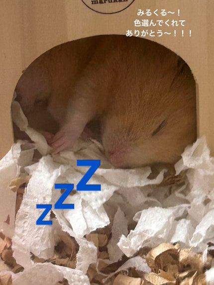 ジルスチュアート タイムレスグロウ ルージュティント/JILL STUART/リップティントを使ったクチコミ(4枚目)