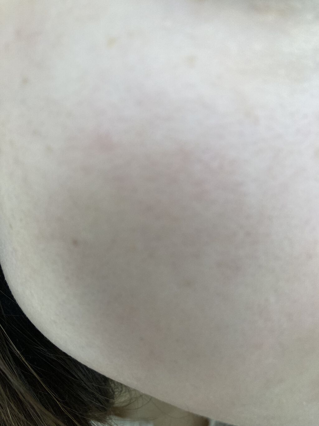 ラ プードル オートニュアンス/Elégance/プレストパウダーを使ったクチコミ（1枚目）