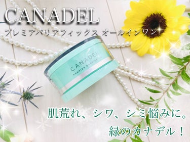 プレミアバリアフィックス /CANADEL/オールインワン化粧品を使ったクチコミ（1枚目）