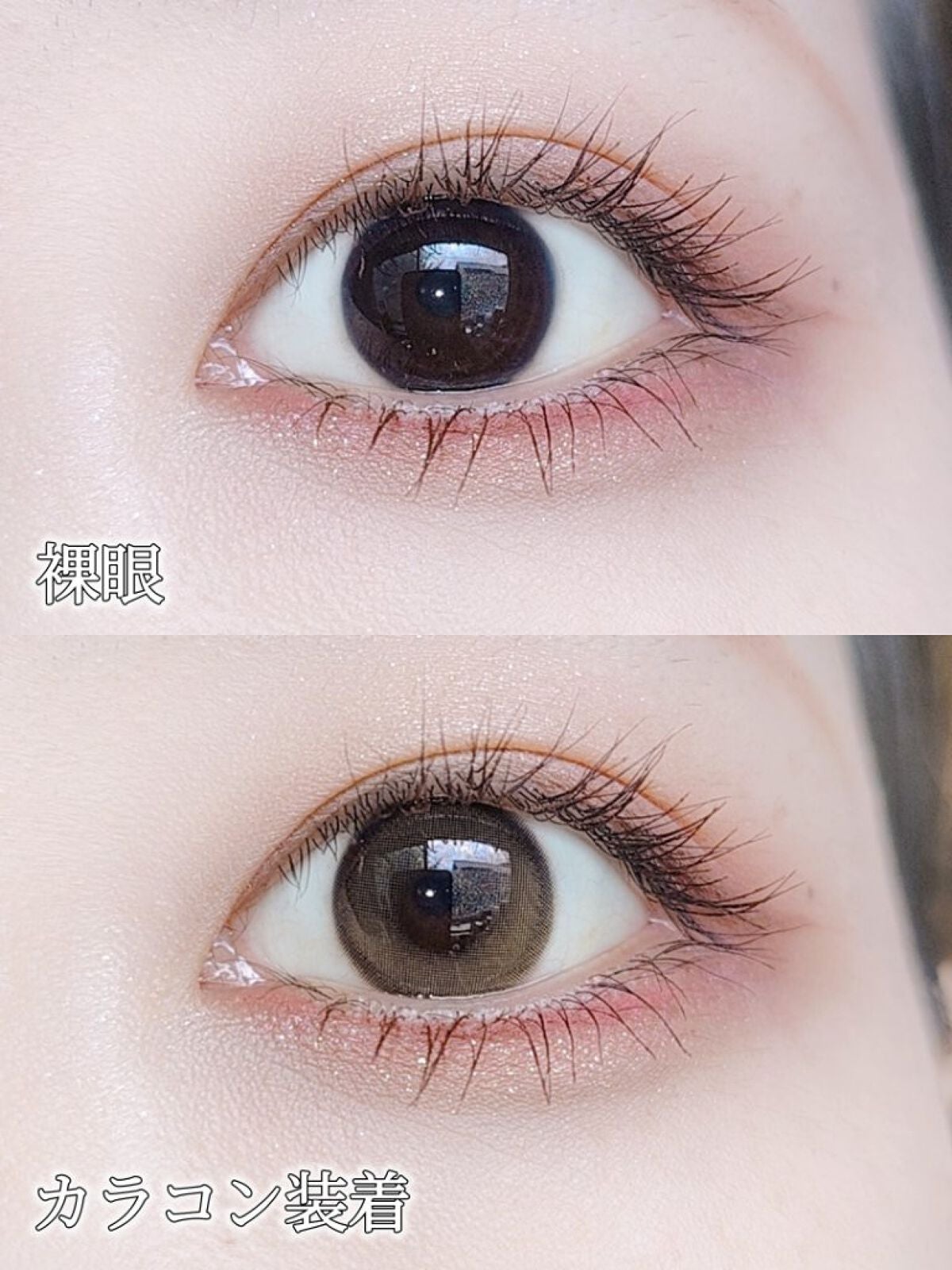 ピュアリティーシャインワンデー(PURITYSHINE 1day)/OLOLA/ワンデー(1DAY)カラコンを使ったクチコミ(2枚目)