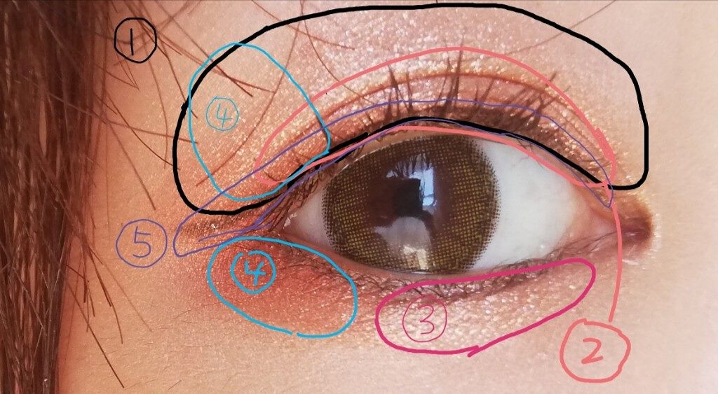 アイカラーパレット/heme/アイシャドウパレットを使ったクチコミ(3枚目)