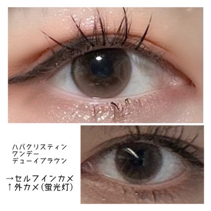Dewy Kristin ブラウン/Hapa kristin/カラーコンタクトレンズを使ったクチコミ(1枚目)