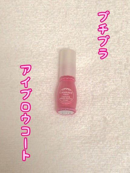 ラスティングマルチブロウコート/キャンメイク/アイブロウコートを使ったクチコミ(1枚目)