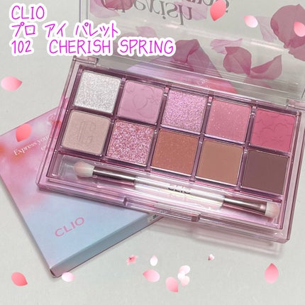 プロ アイ パレット/CLIO/アイシャドウパレットを使ったクチコミ(1枚目)
