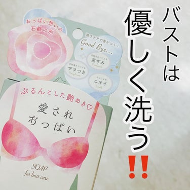 ペリカン石鹸 愛されおっぱいのクチコミ「本気の美乳派を目指す人だけ見て‼️

⭐️愛されおっぱい ¥660⭐️

この価格でおっぱいケ.....」（2枚目）