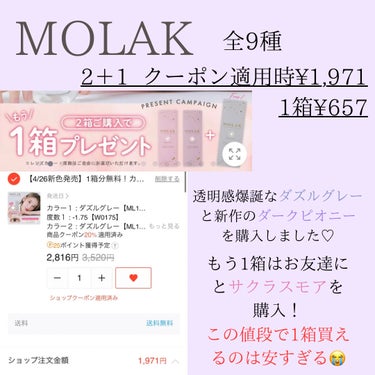 MOLAK 1day/MOLAK/ワンデー（１DAY）カラコンを使ったクチコミ（3枚目）